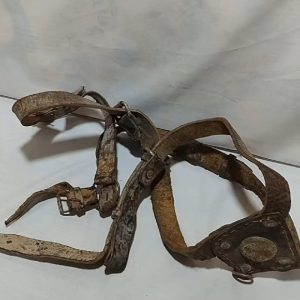 سینه بند اسب