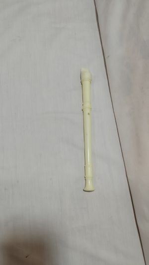 فلوت خارجی