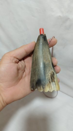 شیپور از جنس شاخ